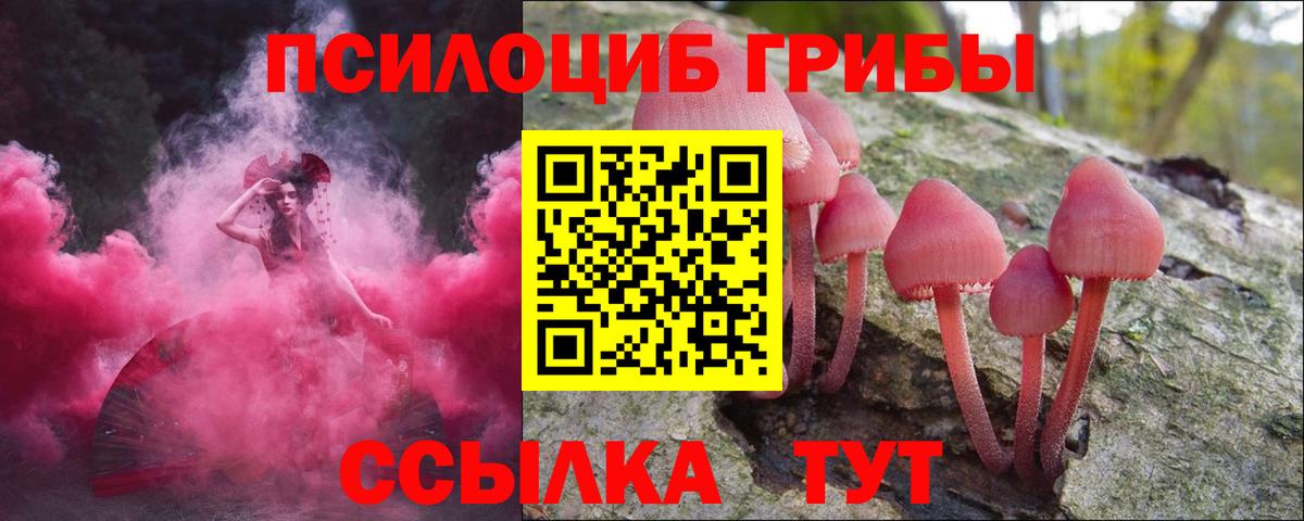 Касимов  Псилоцибиновые грибы GOLDEN TEACHER  Вход с VPN  Псилоцибиновые грибы MAGIC MUSHROOMS 