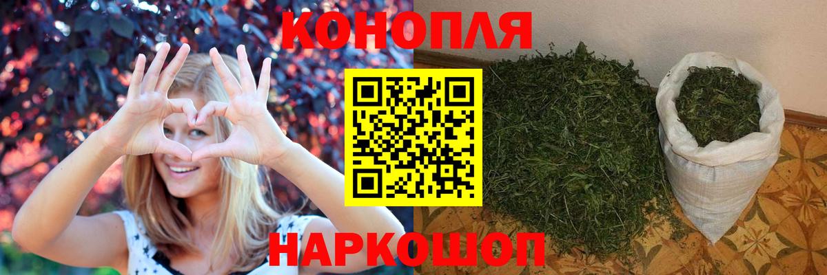 Каннабис OG Kush  Бошки Шишки тримм  Вход с VPN  Канабис SATIVA & INDICA  Касимов 